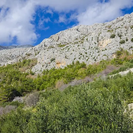 Apartments Pitesa * Omis
